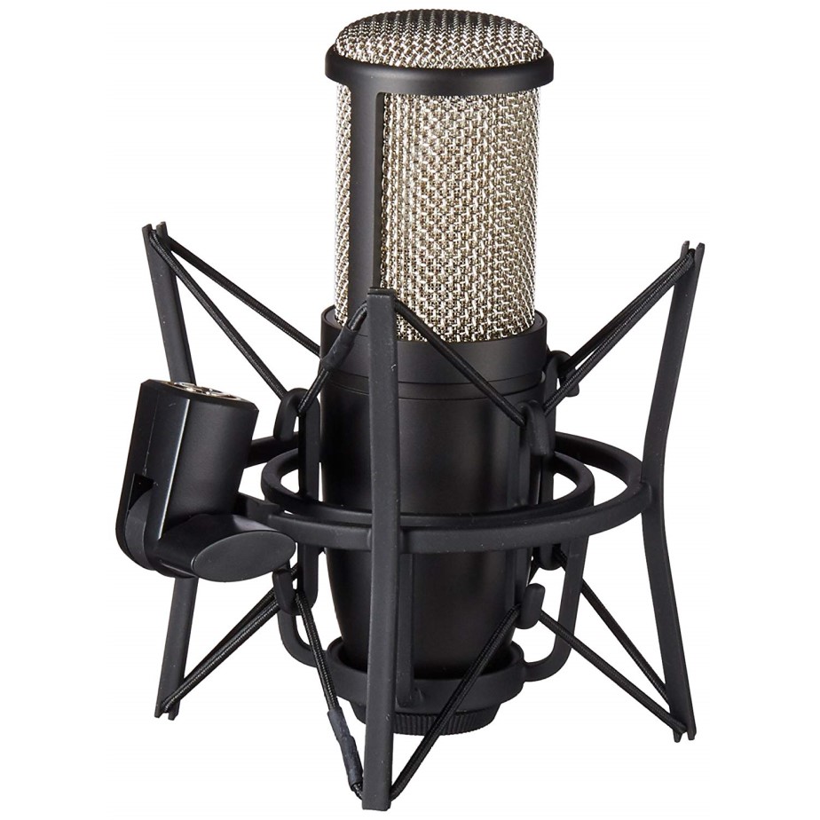 AKG Perception 220 Professional Studio Microphone