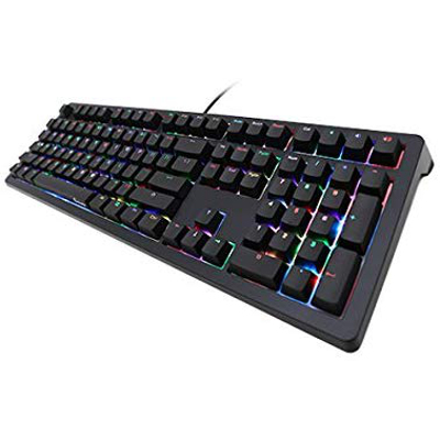 Ducky Shine 5